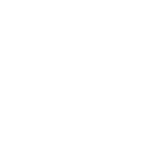Peace, Justice and Strong Institutions